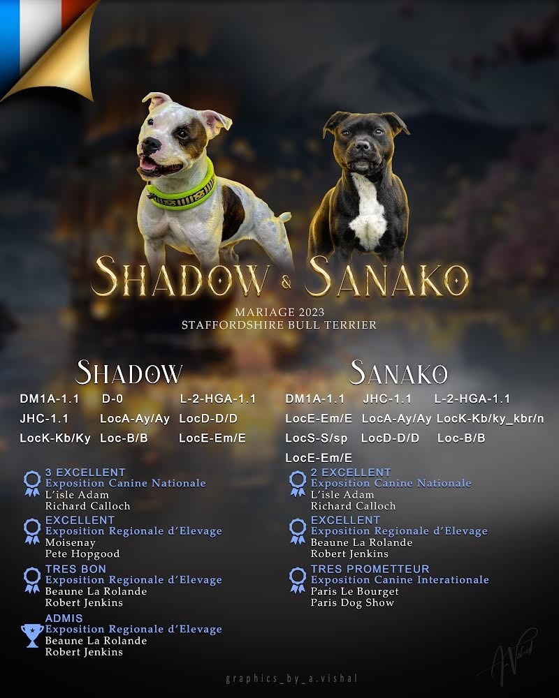 Portée Sanako X Shadow 